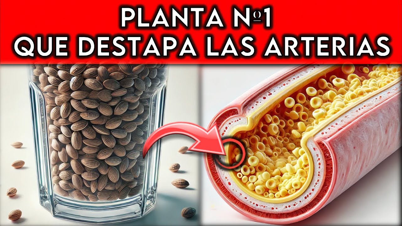 PLANTA #1 que DESTAPA las ARTERIAS y nadie te dice
