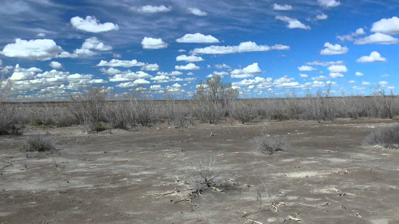 LA PAMPA ES UN VIEJO MAR