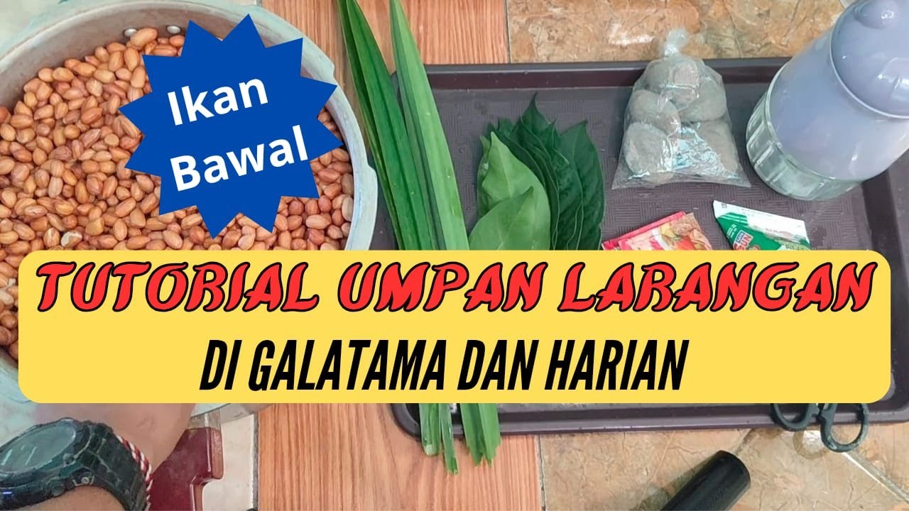 Cara Membuat Kacang Presto Umpan Bawal !! Galatama dan Harian !!