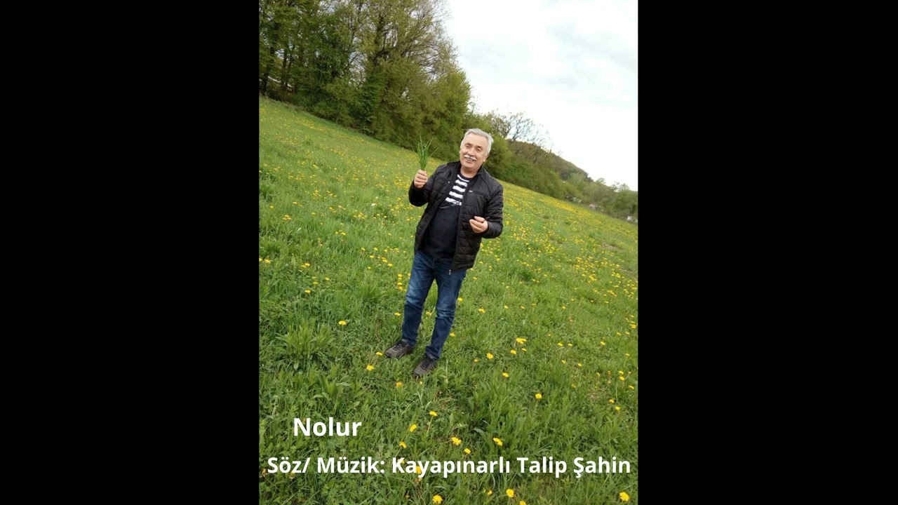 Nolur