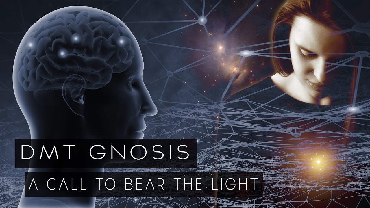 DMT Gnosis: A Call To Bear The Light - Beyond The Veil