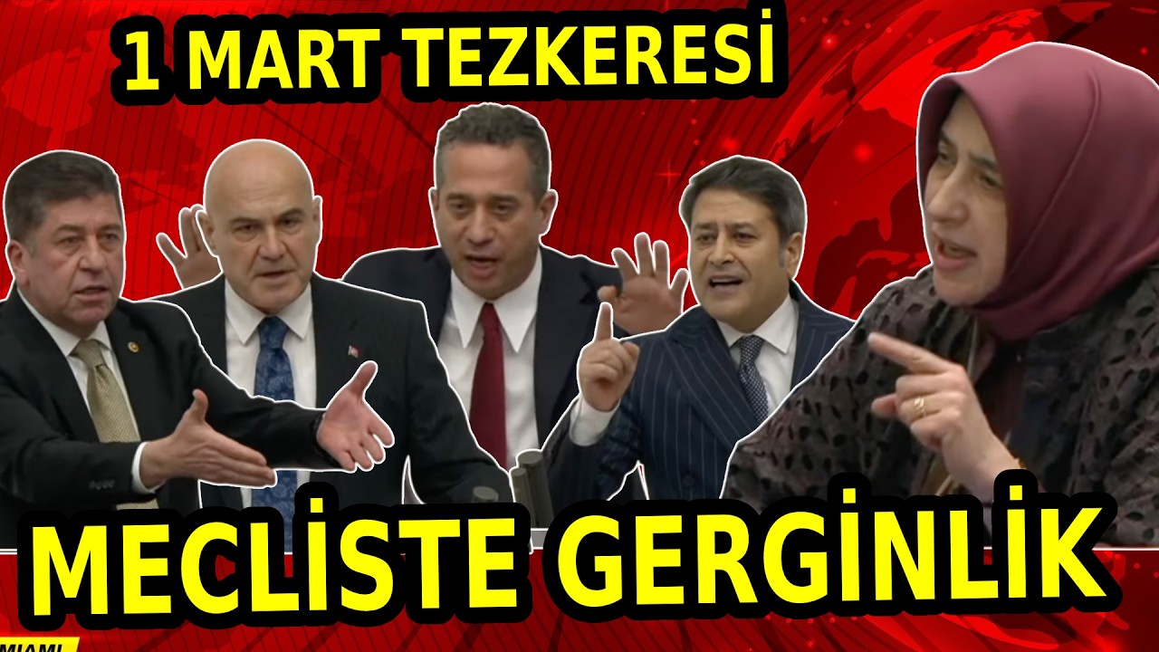 1 Mart Tezkeresi için Özlem Zengin, Ali Mahir Başarır, Selçuk Özdağ, Turhan Çömez, Ali Şahin Ne dedi