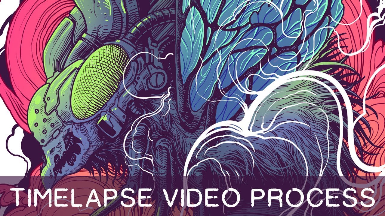 TIMELAPSE VIDEO - 
