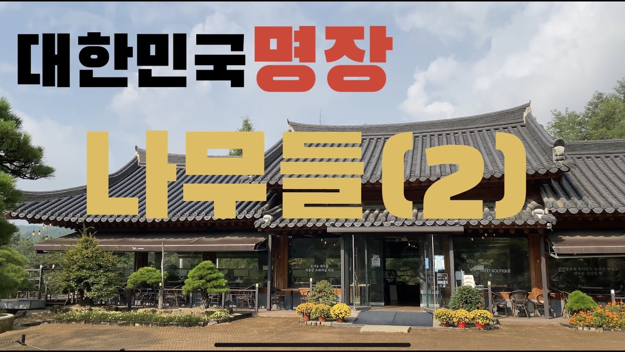 [TV분재] 대한민국 명장 나무들을 찾아서 Part 2🌲 I 카페투어☕️ I 군포 홍종흔 베이커리 I 조경수만들기 I 군포카페 I 군포 가볼만한곳 Vlog