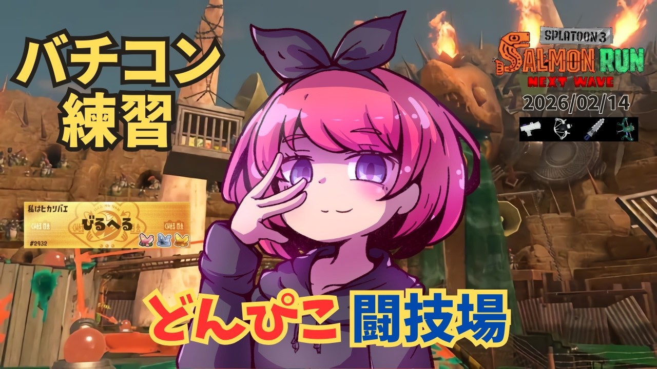 【サモラン配信】バチコン！満足の良く結果が出たら他の事するかも【スプラトゥーン3  サーモンランNW】