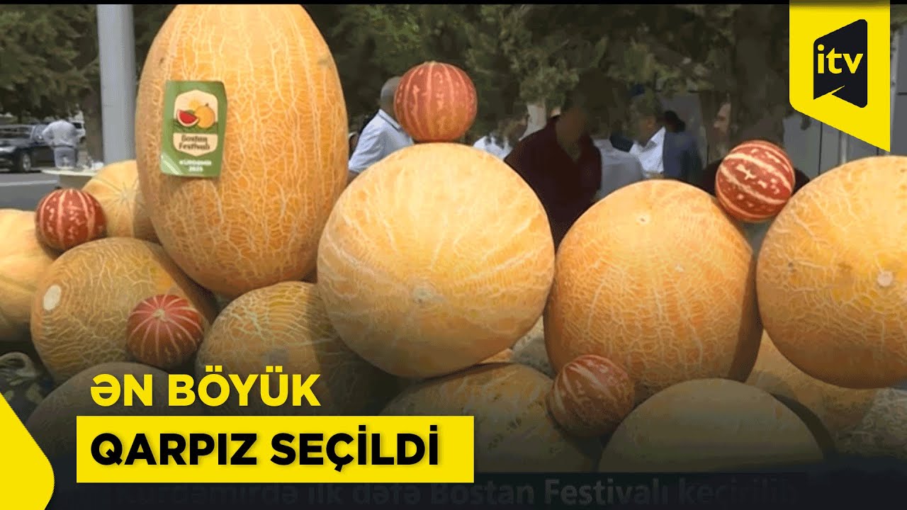 Kürdəmirdə ilk Bostan Festivalı – Böyük qarpız müsabiqəsi