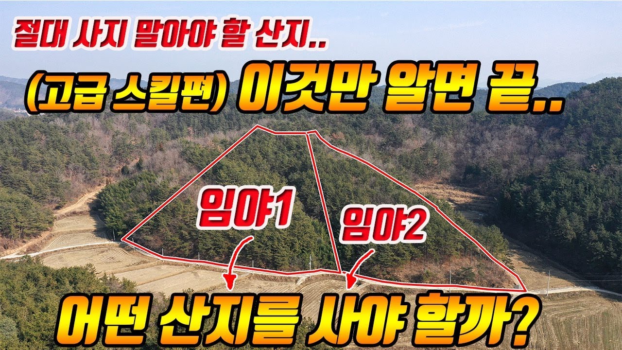 (고급스킬) 부동산 고수들만 아는 임야 산지 매매 시 알아야 할 핵심 꿀팁-부동산재테크 전원주택 펜션 토지 전문 프로공인중개사/건축기사