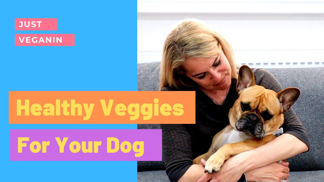 Healthy Vegetables for Dogs