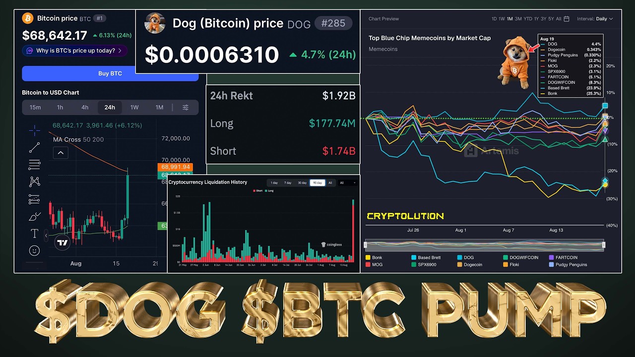 $DOG & $BTC PUMPING 🚀 (REAL OR FAKEOUT?)