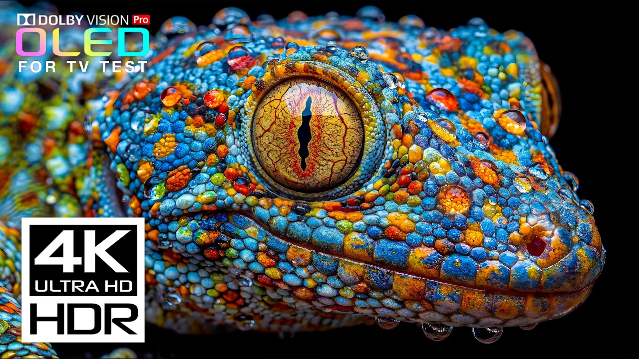 Incredible HDR in 4K Video ULTRA HD at Smooth 60fps | Dolby Vision