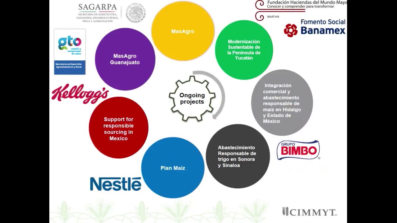 Farmer-market linkages  in the context of sustainable intensification system