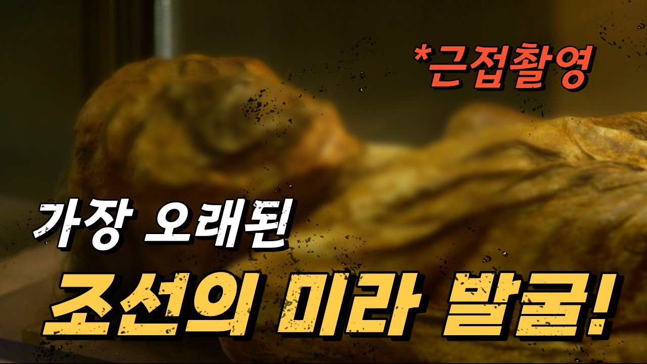 (⚠️시청주의 / 근접촬영) 내시경으로 밝힌 학봉장군 미라의 충격적 진실 (SUB)