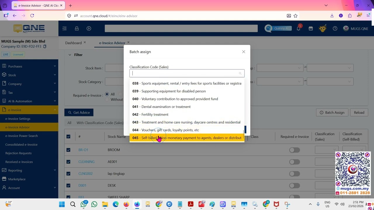 How to use E invoice advisor to update stock classification