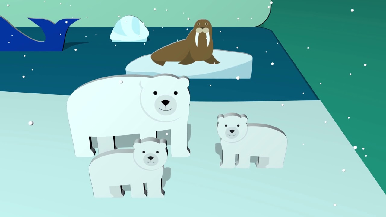 EL BUHO BOO - Animales del Ártico.