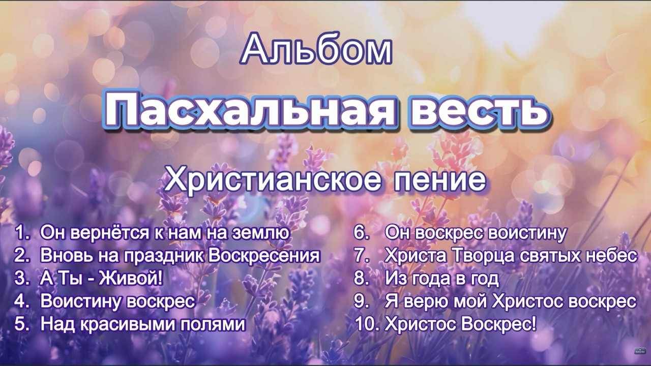 Новый альбом 