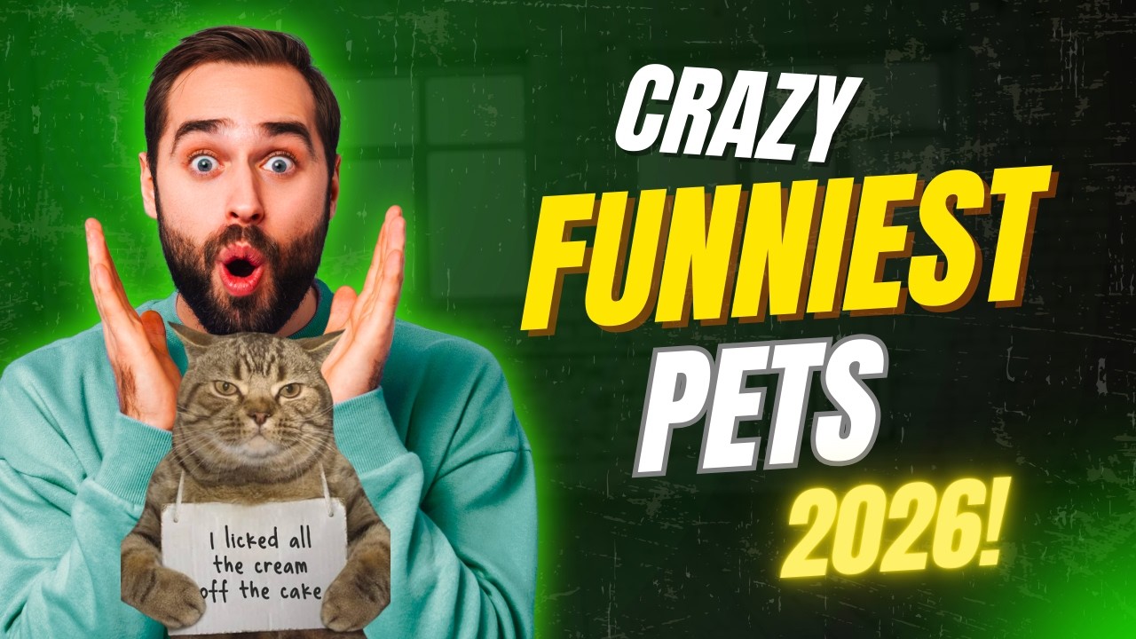 Crazy Funniest Pets Compilation of 2026!