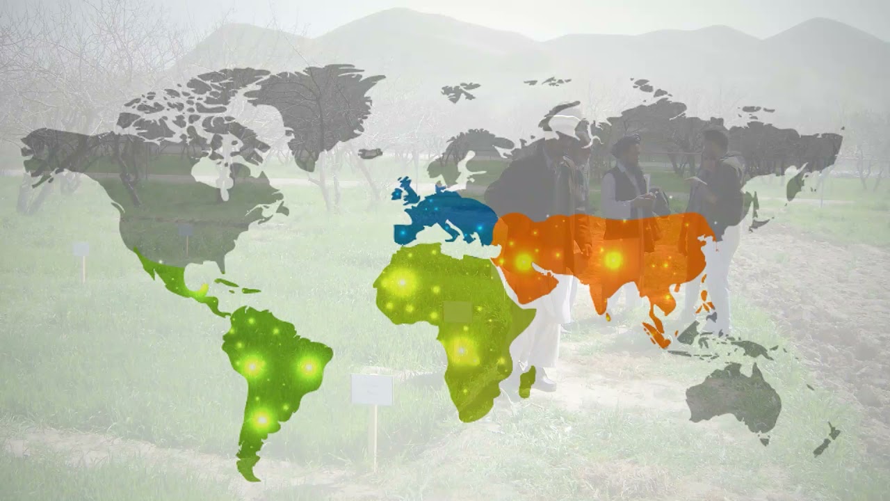 El Grupo Tragsa en el mundo