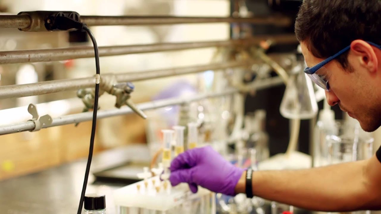 Online Brewing Science Course