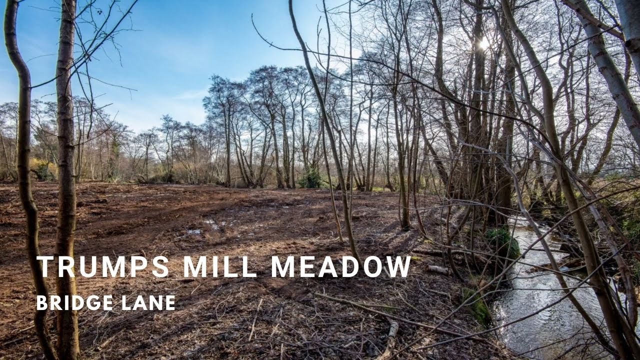 Trumps Mill Meadow, Bridge Lane - For Sale By James King Estates