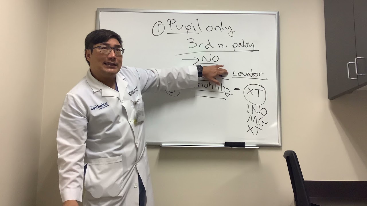 Pupil Only Third Nerve Palsy