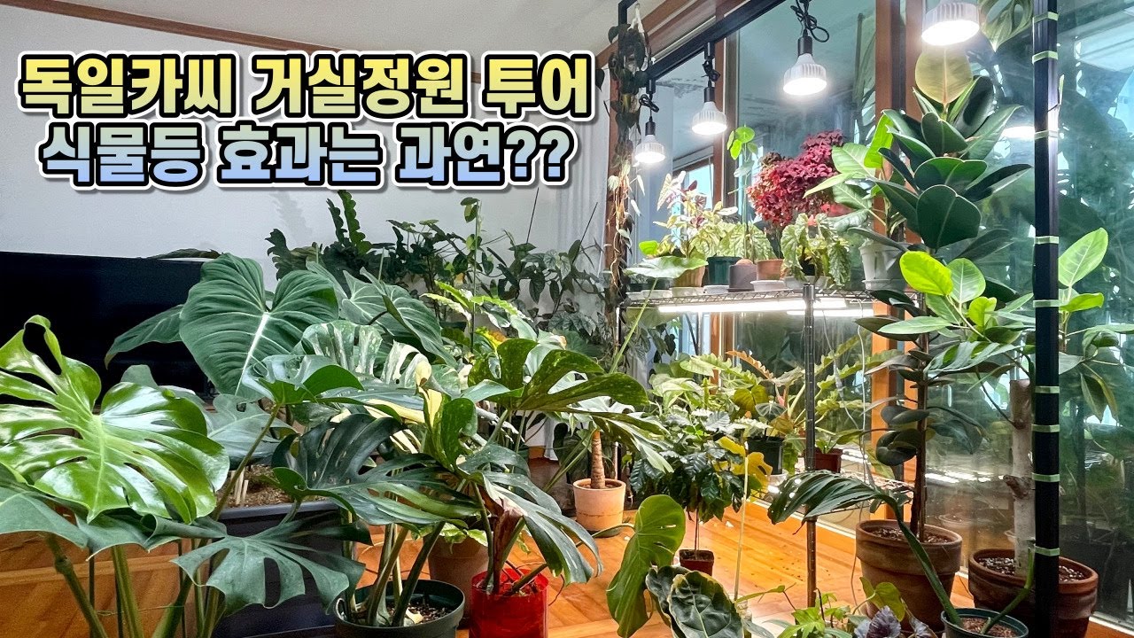 독일카씨 거실정원 투어!! 식물등 과연 효과가 있을까요?? 거실에 키우는 식물 34종!!