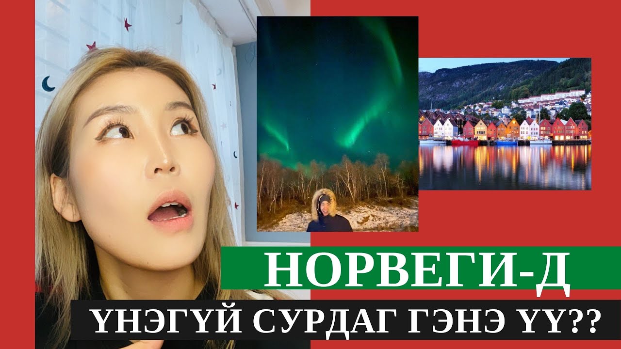 Норвеги-д ҮНЭГҮЙ сурах Part 1