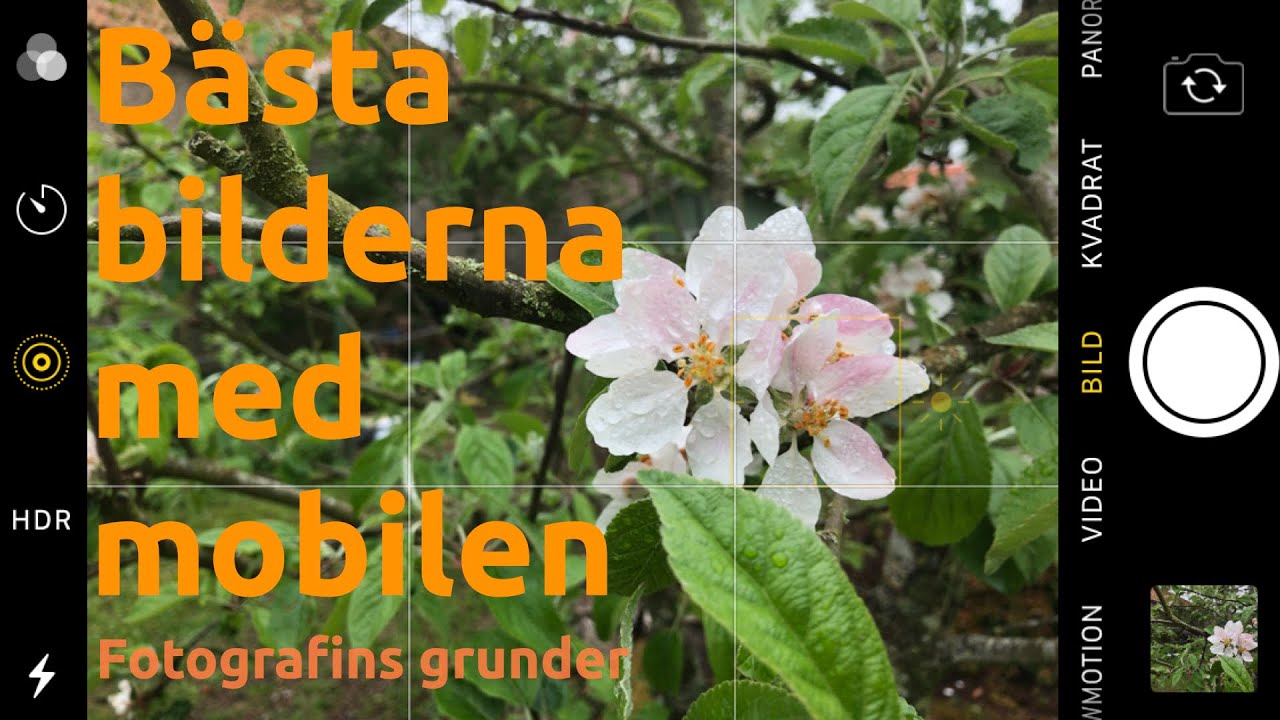 Bästa bilderna med mobilen