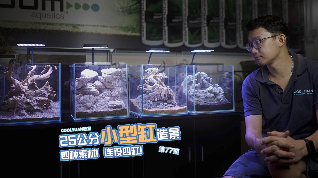 25公分小型缸造景4種素材！連設4缸！ep77