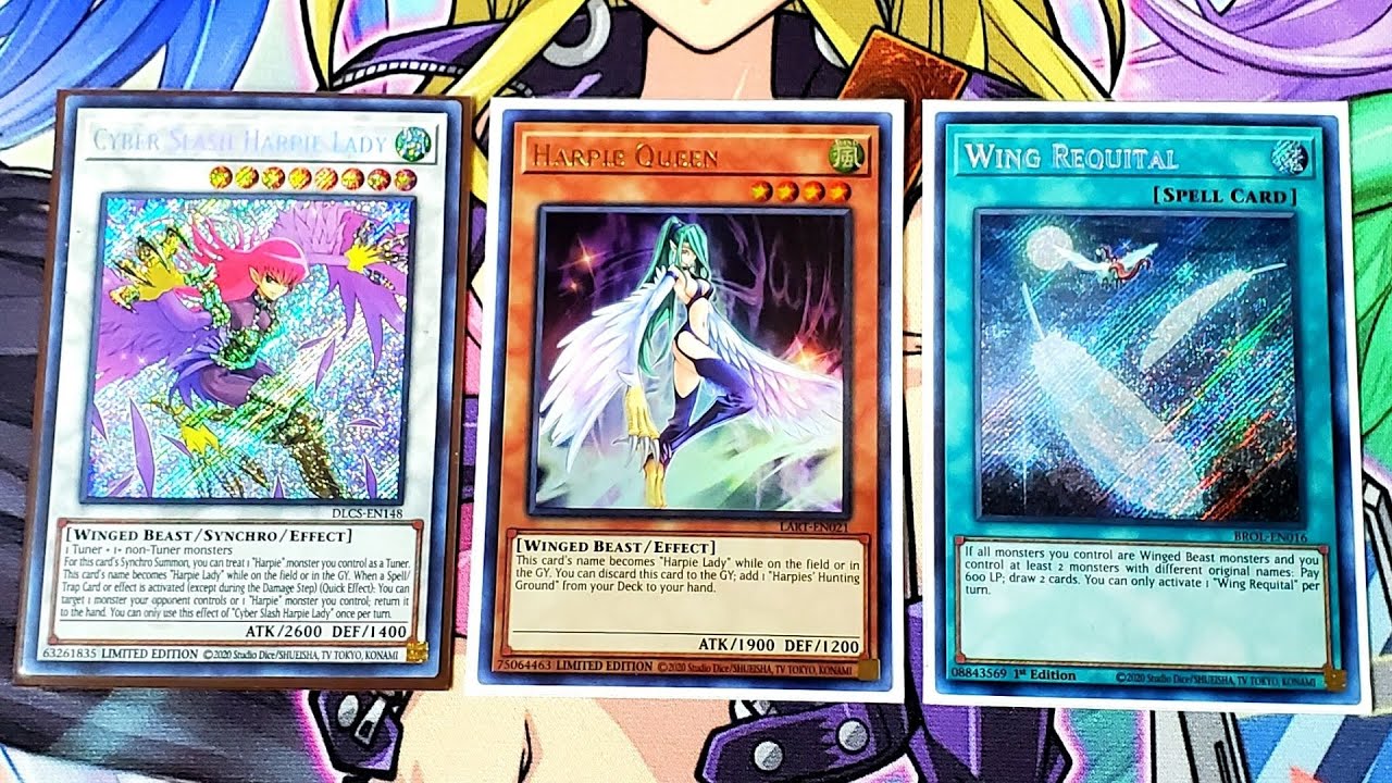 Harpie Deck Profile Yugioh 2021 New Support Post Brothers of Legend