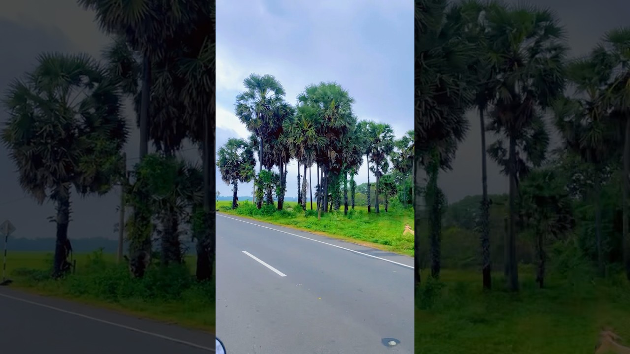 Jaffna Village beauty | Travel