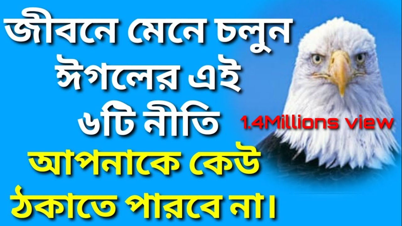 ঈগলের এই ৬টি নীতি মেনে চললে কোনোদিনই আপনি ঠোকবেন না। এটাই বাস্তব।