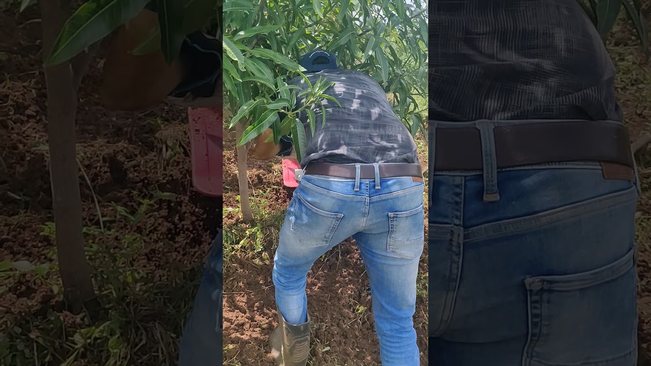 Honda FJ500 Blue spiral attachment super useful to control long grass & easy to operate 😊