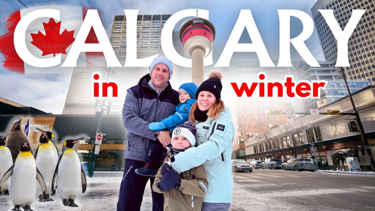 CANADA VLOG 🇨🇦 Worth a trip? ❄️ Best of Calgary in Winter! Calgary Tower, Calgary Zoo & Zoolights