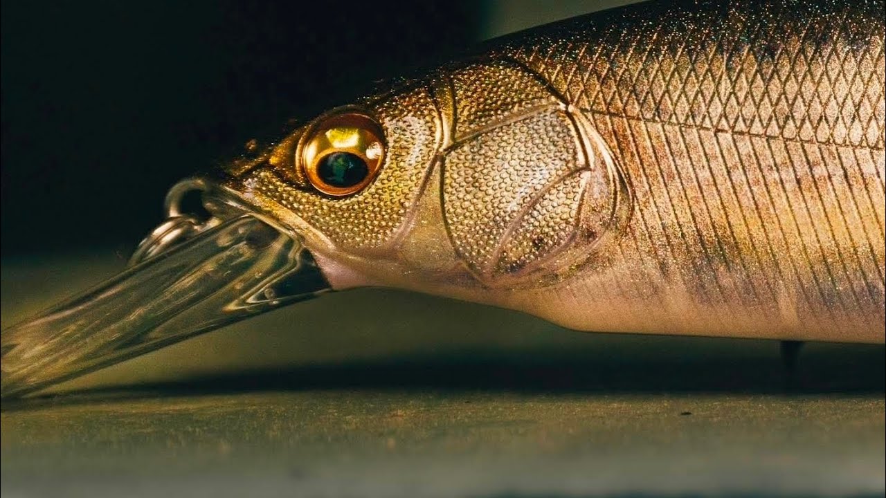 Megabass: The history,  the secret lures and patterns of the hottest JDM brand in the US. 🇯🇵🎣🔥