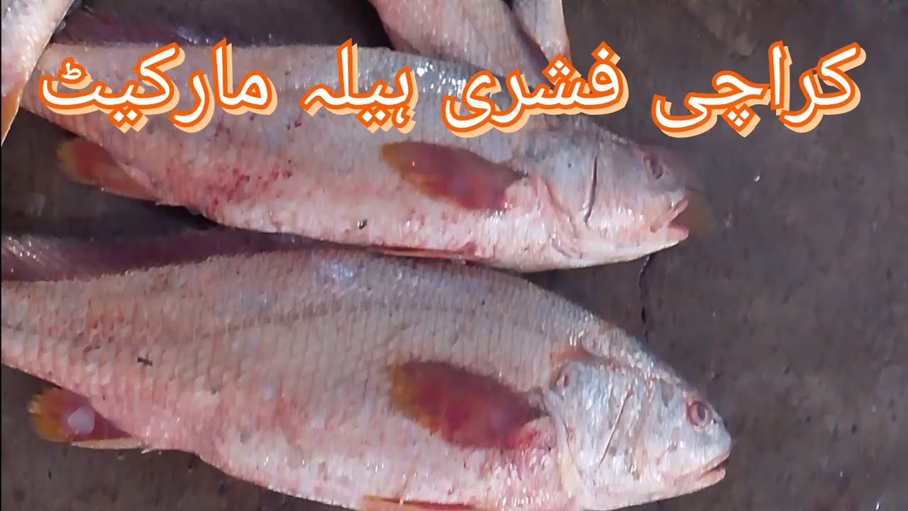 KARACHI  FISHRI. HELLA MARKET 