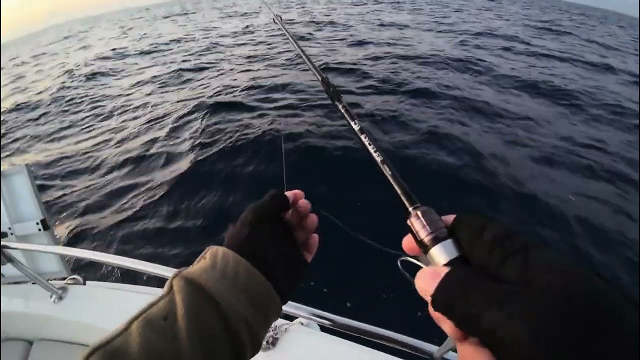 Lrf İle Yazılı Orkinos Avı