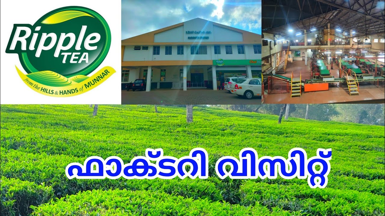 Ripple Tea Factory Visit l ഫാക്ടറി വിസിറ്റ് ചെയ്തപ്പോൾ l SHA Travel Life