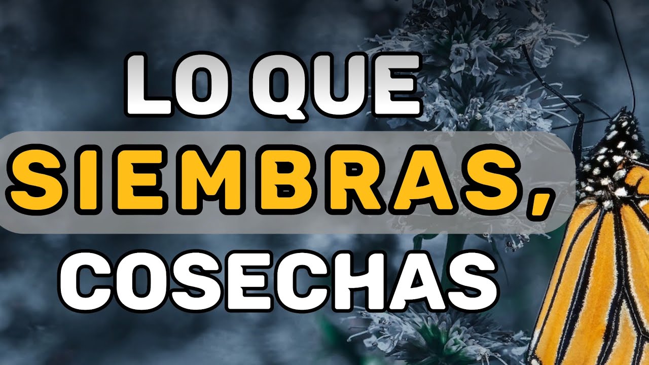 LO QUE Siembras  [ COSECHAS ]