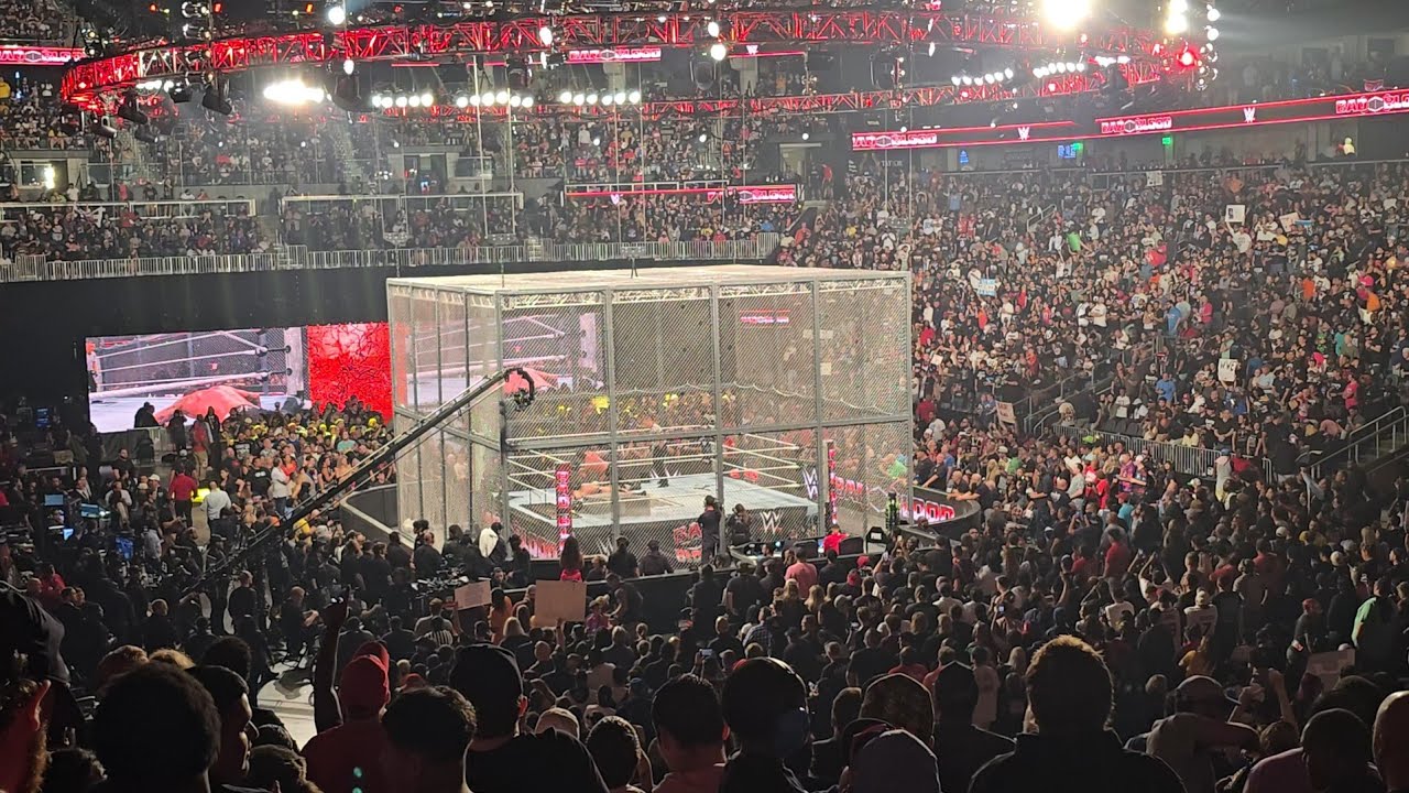 CM Punk vs Drew McIntyre - Match Finish - Bad Blood 2024