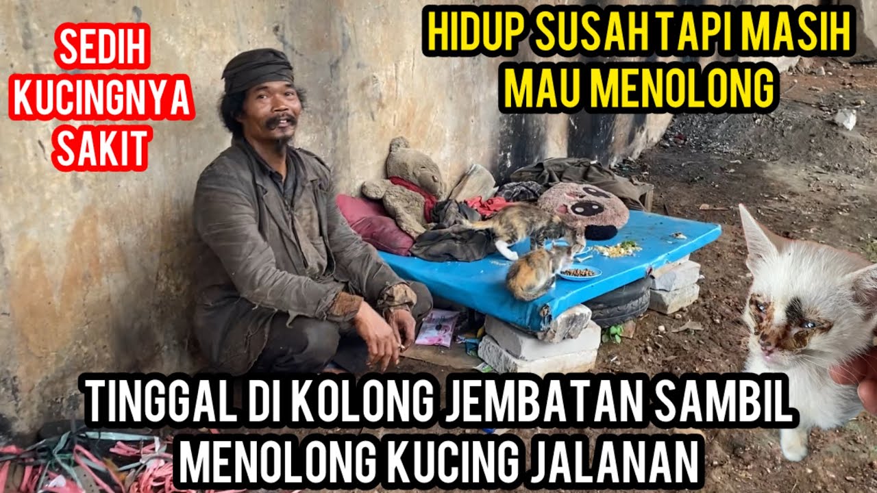 SEORANG PEMULUNG PENOLONG KUCING JALANAN BIKIN HARU SEMUA ORANG..‼️
