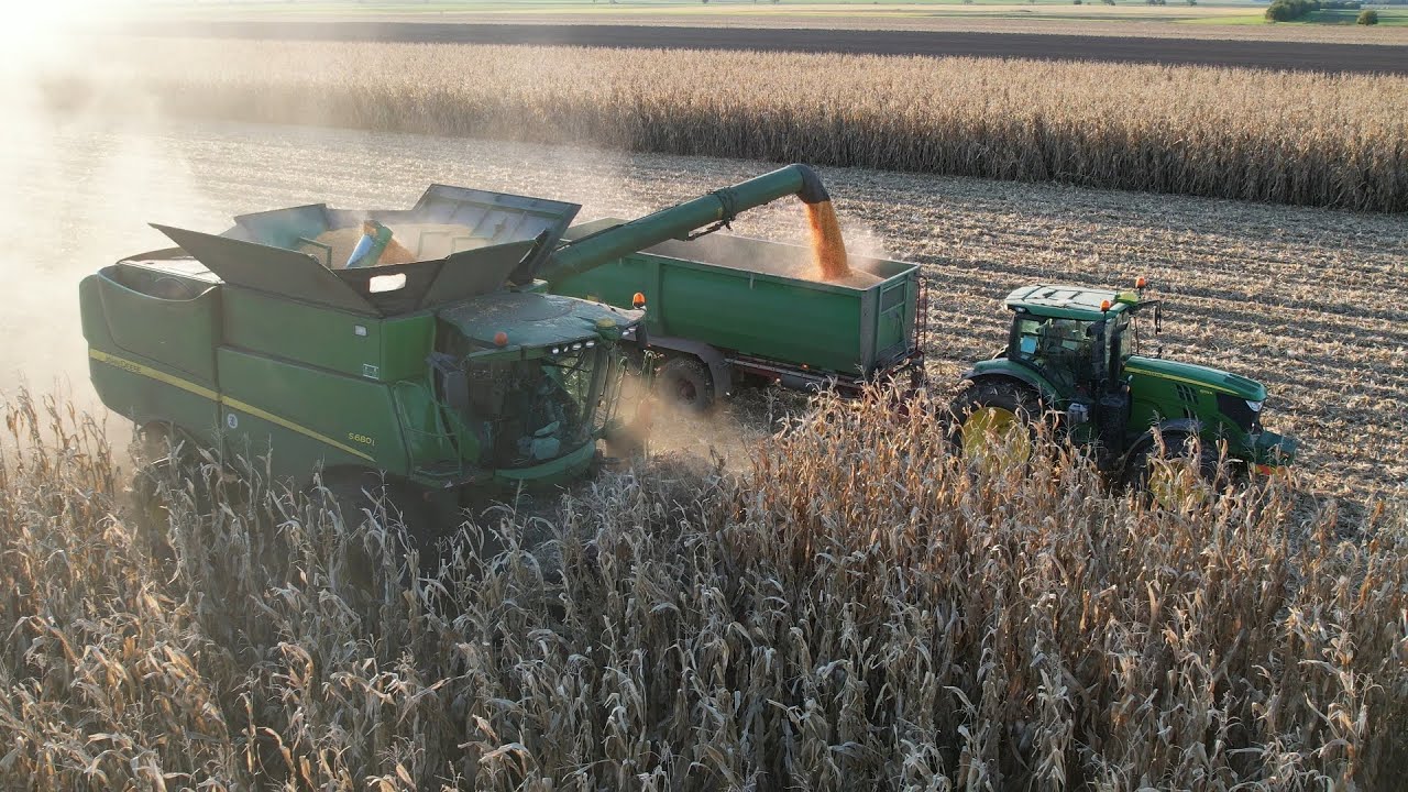 JOHN DEERE S680i | Sklizeň kukuřice na zrno | ZD Senice na Hané | 2024