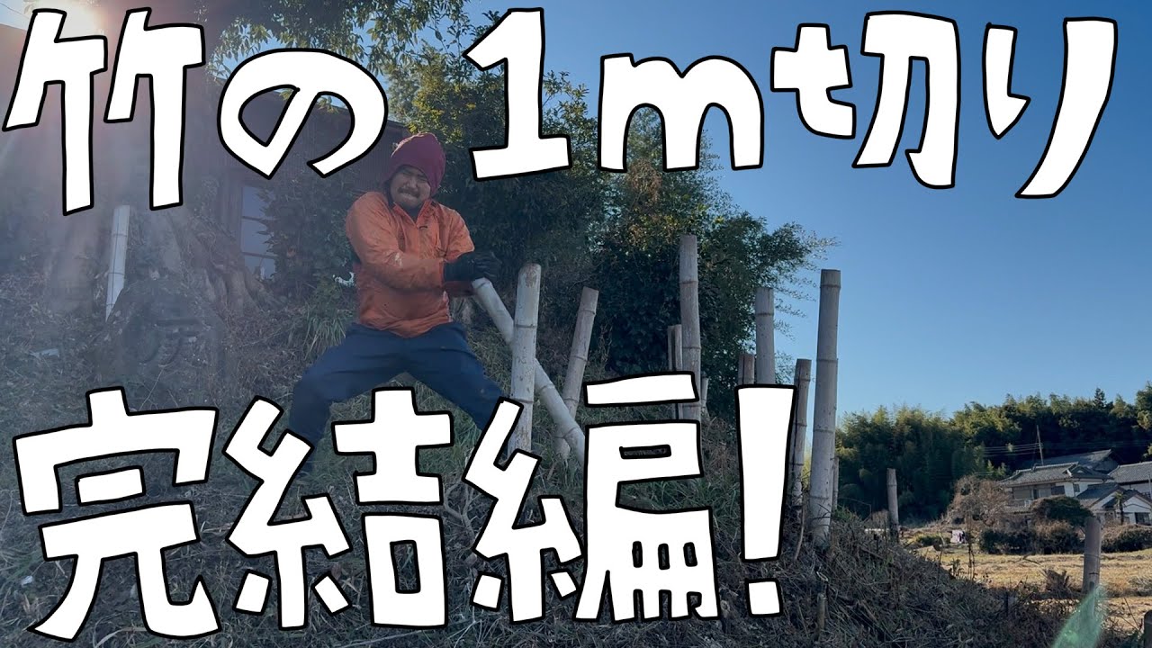 竹の1m切り、4年目の完結！もう怖くない！さよなら、竹。【第177話】