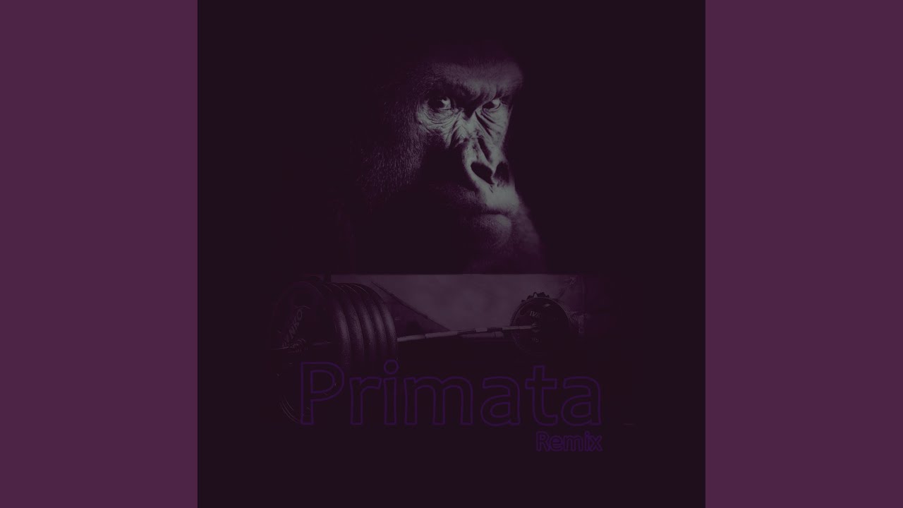 Primata (Remix)