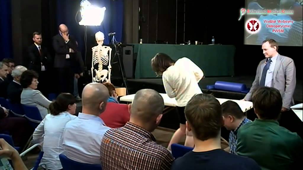 II Dzień Osteopaty #20 - FDM w praktyce osteopatycznej (warsztat)