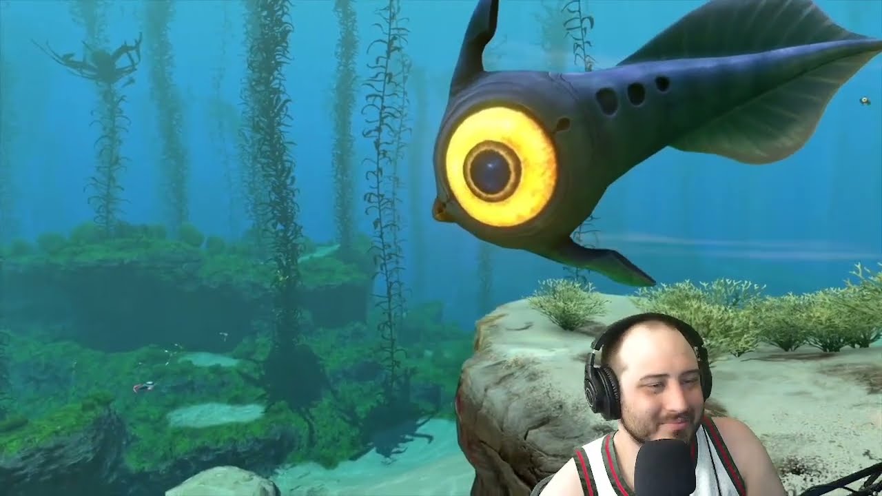 Reacting to 