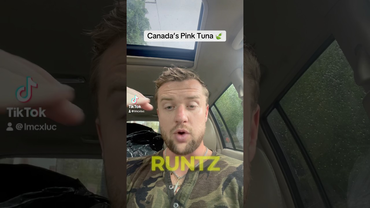Canada&rsquo;s Pink Tuna 🍃
