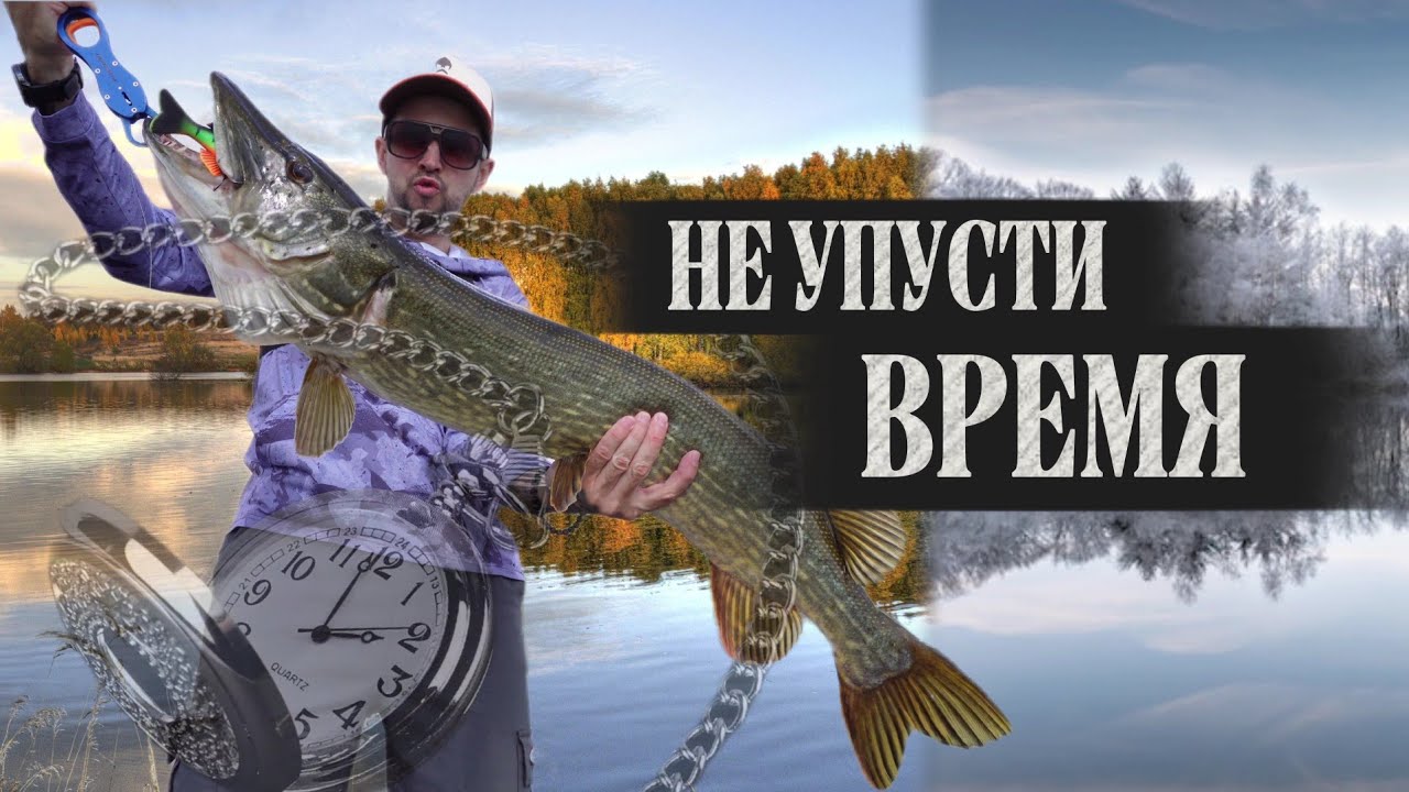🍂 ЩУКА ОСЕНЬЮ: ТЫ ЛОВИШЬ НЕ в ТОТ ЧАС! Почему она ИГНОРИРУЕТ твой ВОБЛЕР🤔