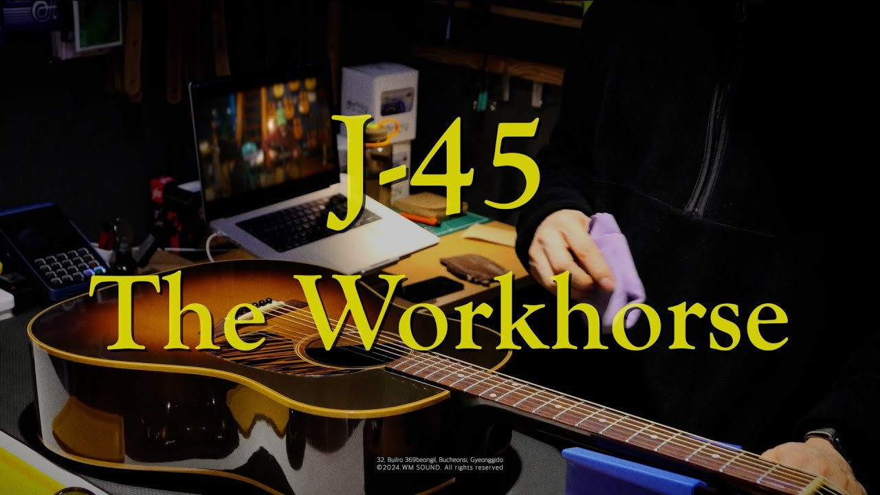 Gibson J-45 Collection / from Standard to Legend