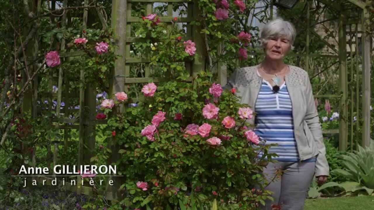 Normandie : Parc et jardins du Presbytère d'Etienville
