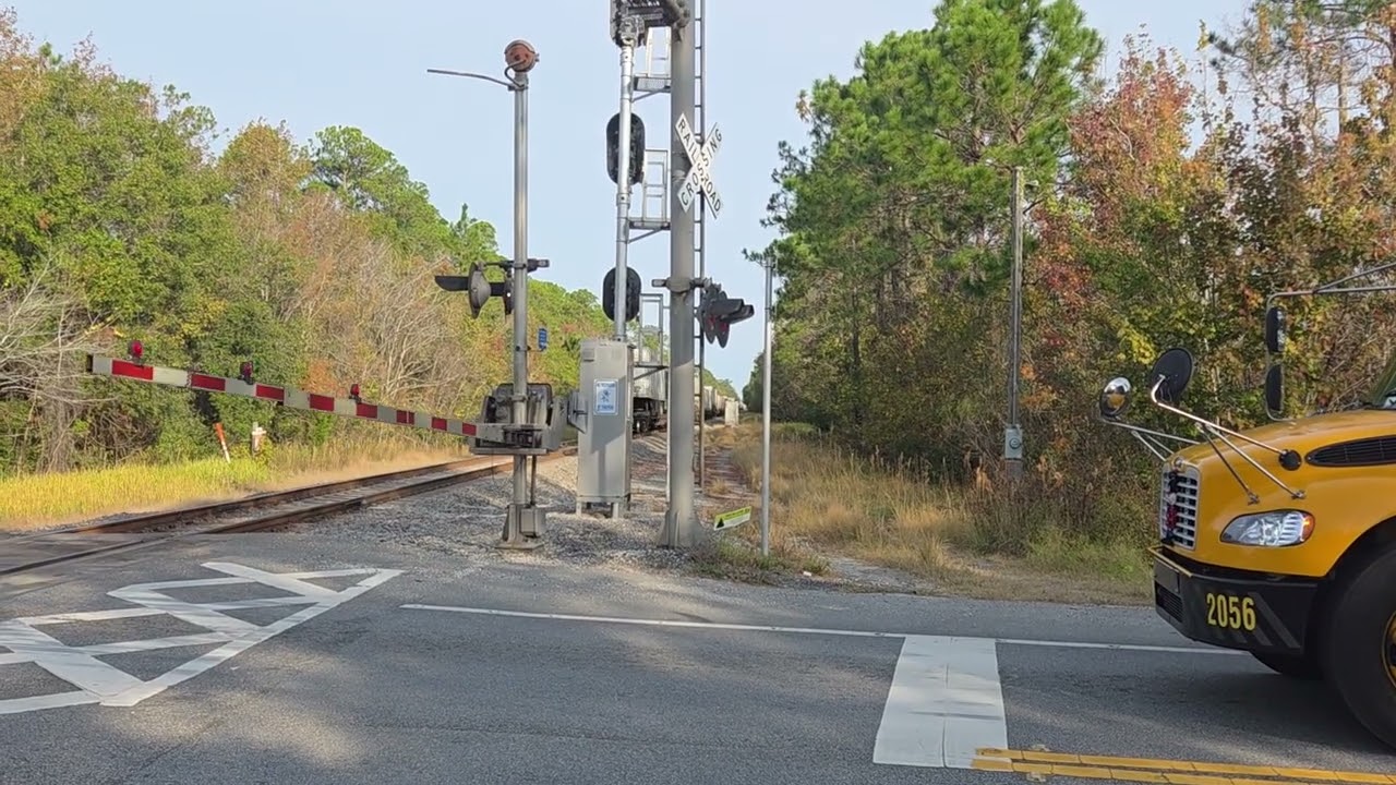 What Do The FEC And Red Shouldered Hawks Have In Common? (Also CSX, Amtrak)